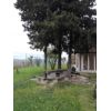 Casolare di 330 mq c.a. con portico di 65 mq, magazzino di 57 mq c.a. e con corte piantumata di 3.500 mq c.a. Oasi di pace a 1,5 km dal paese e a 7 km dal mare. Possibilit di accedere al super bonus 110 C.e: GCasa Singola